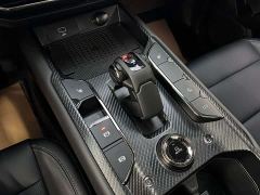 Haval Big Dog PLUS 2.0T Two-Wheel Drive Trendy Wilderness Edition Plus - photo 15