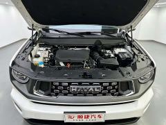 Haval Big Dog PLUS 2.0T Two-Wheel Drive Trendy Wilderness Edition Plus - photo 16