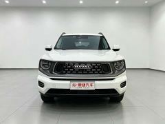 Haval Big Dog PLUS 2.0T Two-Wheel Drive Trendy Wilderness Edition Plus - photo 2