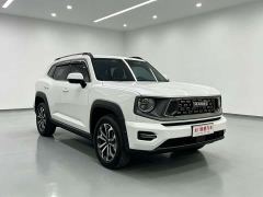 Haval Big Dog PLUS 2.0T Two-Wheel Drive Trendy Wilderness Edition Plus - photo 3