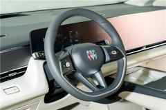 Buick Electra Zhijing Shijia Luxury Edition - фото 12