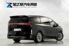 Buick Electra Zhijing Shijia Luxury Edition - фото 6