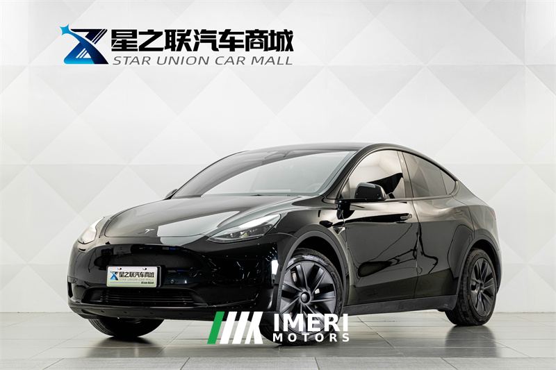 Tesla Model Y 554km Rear-Wheel Drive Edition - car from China