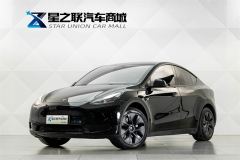 Tesla Model Y 554km Rear-Wheel Drive Edition - photo 1