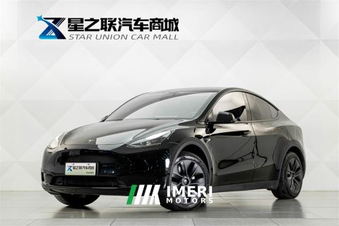 2023 Tesla Model Y 554km Rear-Wheel Drive Edition - автомобиль из Китая