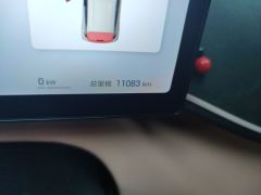 BYD Seagull Smart Driving Edition 305km Free Version - фото 8