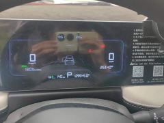 Geely Geometry E Firefly 401KM Linglong Tiger 5-Seater - ფოტო 14