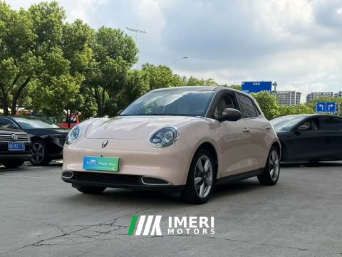 2022 Ora Great Wall Good Cat 401km Standard Range Luxury Edition Lithium iron phosphate - автомобиль из Китая