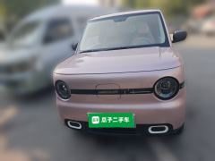Geely Galaxy Panda mini 210km Yuanqi Bear - ფოტო 2
