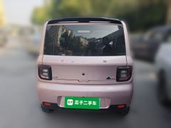 Geely Galaxy Panda mini 210km Yuanqi Bear - ფოტო 3