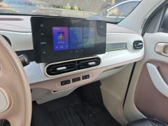 Geely Galaxy Panda mini 210km Yuanqi Bear - ფოტო 9