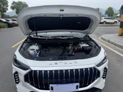 Jetour X70 PLUS 1.5T Version 5 - ფოტო 16