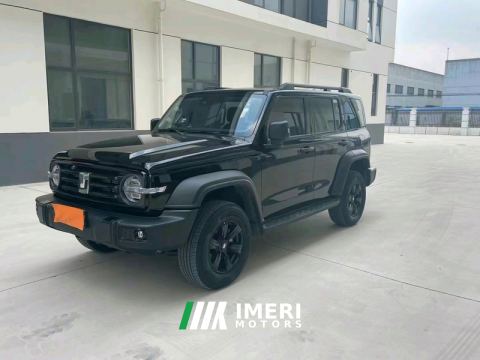 2024 Tank 300 2.0T Conqueror - автомобиль из Китая