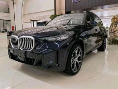 BMW X5 xDrive40Li M Sport Package - фото 1
