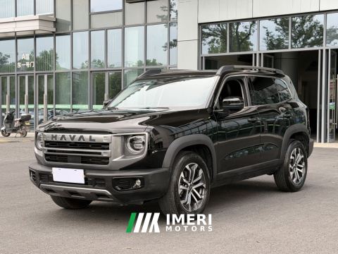 2024 Haval Great Wall Big Dog 1.5T 2WD Edition - ავტომობილი ჩინეთიდან