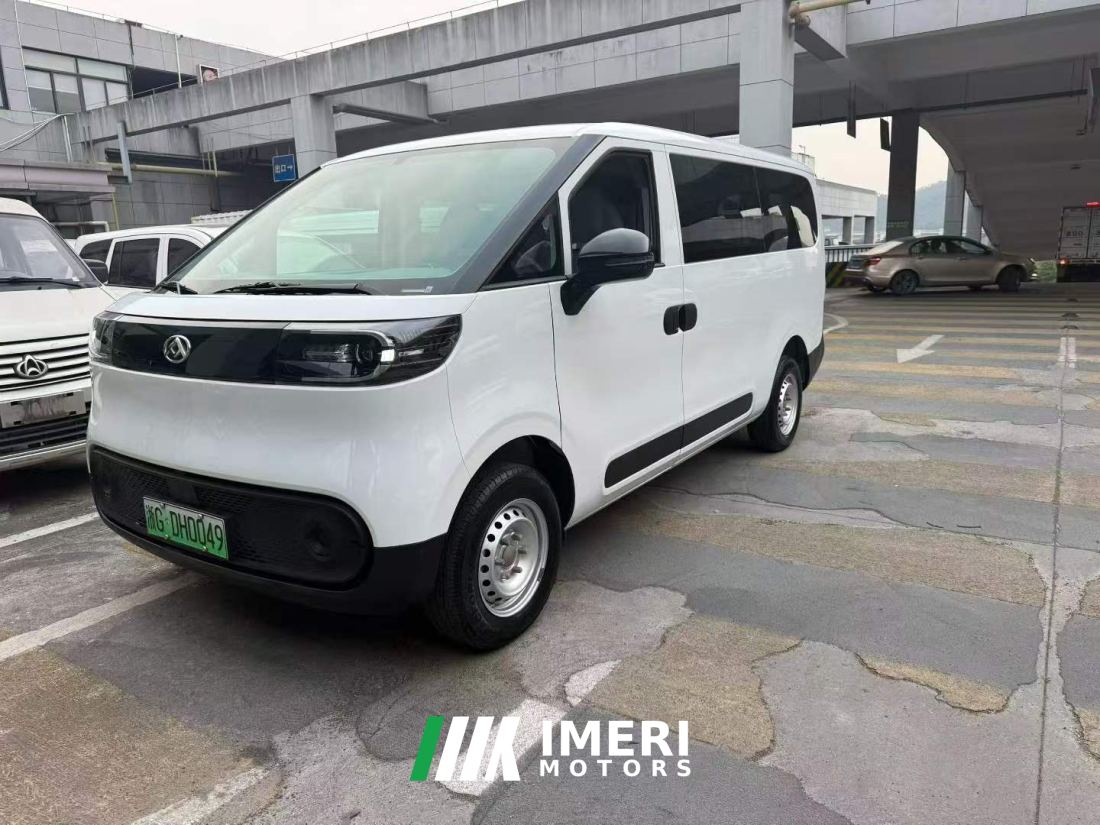 Maxus Dà Ná V1 301km Edition - ავტომობილი ჩინეთიდან