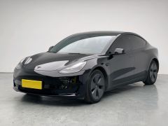 Tesla Model 3 Standard Range Edition 3D1 - фото 1