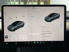 Tesla Model 3 Standard Range Edition 3D1 - фото 18