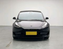 Tesla Model 3 Standard Range Edition 3D1 - фото 2