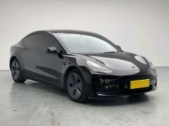 Tesla Model 3 Standard Range Edition 3D1 - фото 3