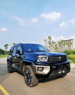 Tank 700 New Energy 700 3.0T Hi4-T Edition - photo 3