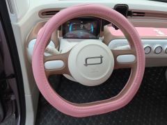 Bestune Pony Besturn Xiaoma 222km Colorful Edition - ფოტო 18