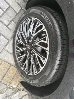 FAW Red Flag H5 2.0T Automatic Smart Connected Flagship Comfort Edition - photo 19