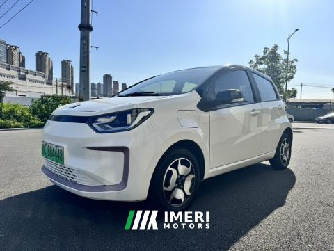 2021 Sehol E10X Luxury Version 31.4kWh