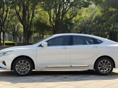Geely Borui 1.8T Edition - ფოტო 3