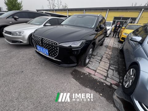 2024 Lincoln Adventurer 2.0T 2WDDeluxe Edition - автомобиль из Китая