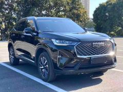 Haval H6 1.5T Two-Wheel Drive Pro - photo 2