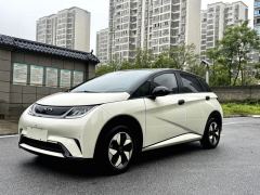 BYD Dolphin Honor Edition 420km Stylish Edition - photo 1