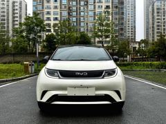 BYD Dolphin Honor Edition 420km Stylish Edition - photo 2