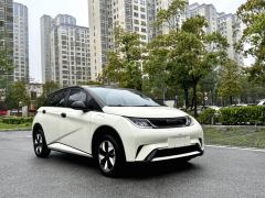 BYD Dolphin Honor Edition 420km Stylish Edition - photo 3