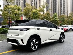 BYD Dolphin Honor Edition 420km Stylish Edition - photo 7