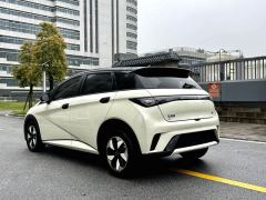 BYD Dolphin Honor Edition 420km Stylish Edition - photo 8