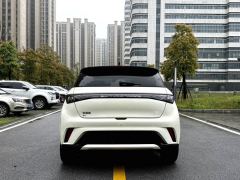 BYD Dolphin Honor Edition 420km Stylish Edition - photo 9