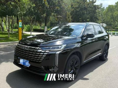 2024 Haval H6 1.5T Two-Wheel Drive Max - car from China
