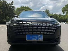 Haval H6 1.5T Two-Wheel Drive Max - ფოტო 2