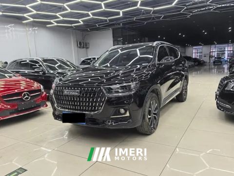 2023 Haval H6 Guochao Edition 1.5T 2WD Champion Edition - ავტომობილი ჩინეთიდან