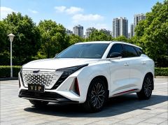 Oshan Z6 1.5T Version Edition - ფოტო 1