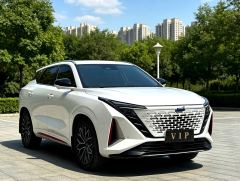 Oshan Z6 1.5T Version Edition - ფოტო 3