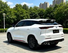 Oshan Z6 1.5T Version Edition - ფოტო 7