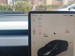Tesla Model 3 713km Long Range AWD - ფოტო 10