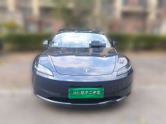 Tesla Model 3 713km Long Range AWD - ფოტო 2