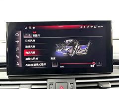 Audi Q5L 45th Anniversary Edition 45 TFSI Luxury Sport - фото 12