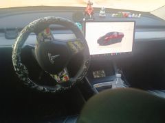 Tesla Model Y 554km Rear-Wheel Drive Edition - photo 16