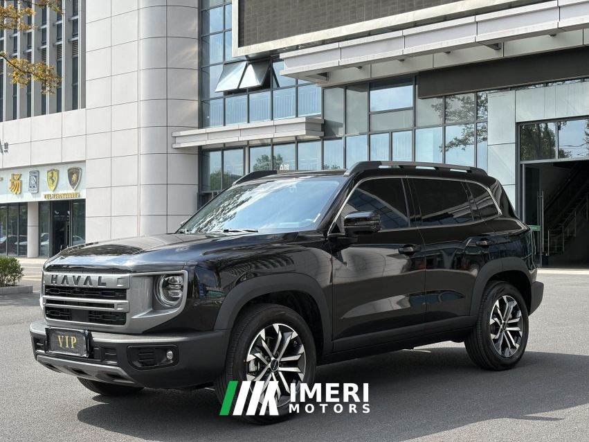 Haval H6 1.5T Two-Wheel Drive Pro - car from China