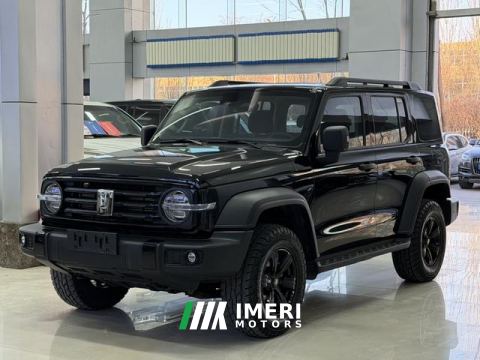 2024 Tank 300 2.0T Conqueror - ავტომობილი ჩინეთიდან