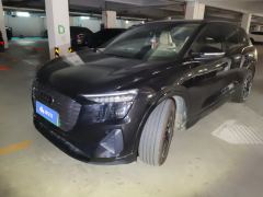 Audi Q5 e-tron 40 e-tron Starlight Mecha Package - фото 1